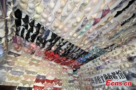 Người đàn ông sở hữu 5.000 nội y nữ sinh - ảnh 5